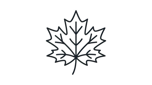 Simple maple leaf illustration