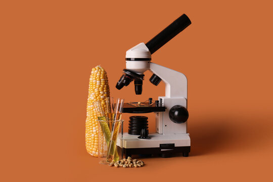 Genetic modification of corn and soybeans with a microscope and test tubes for agricultural research