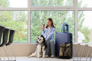 Young woman with a husky dog and luggage waiting in an airport or train station terminal with a coffee cup, She holds a coffee cup, sitting beside her blue suitcase and a backpack © Pixel-Shot