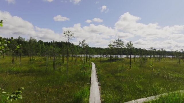 Aerial view over wooden duckboards path in Koli National Park, Finland, sunny day