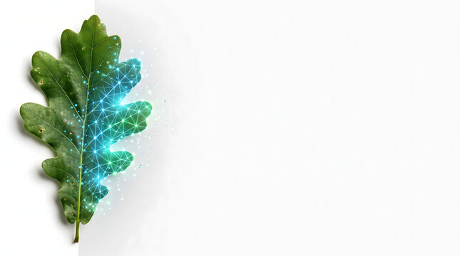 Conceptual digital green oak leaf with glowing blue network plexus on clean white background representing biotechnology and eco innovation