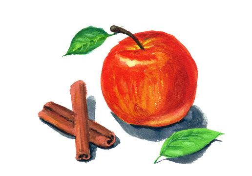 Hand-drawn watercolor illustration of red apples and cinnamon sticks / 手描きの水彩画 りんごとシナモンスティックのイラスト	