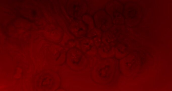 Extreme macro close-up abstract video of red cell-like particles floating in an abstract red space, creating a microscopic-inspired visualization of viral contamination and infection. Conceptual image
