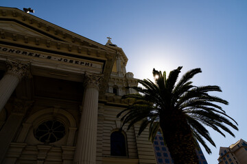 Fototapeta premium Classic Architecture of St Joseph Cathedral and Palm Tree in San Jose