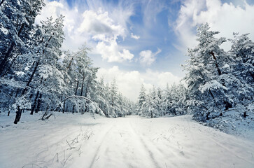 Beautiful Snowy Forest Path Leading Through Winter Wonderland With Sunlight Peeking Through Trees © Smart