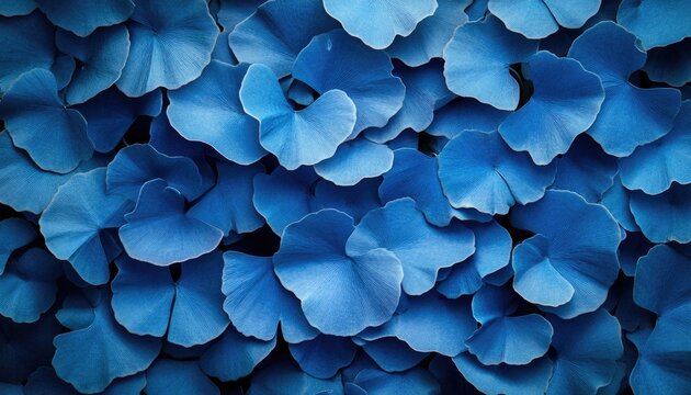 Top-down close-up of many bright blue ginkgo biloba leaves. Use for backgrounds, patterns, or natural texture designs.