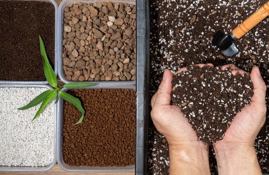 Top view of hands holding mixed potting soil with various planting materials and gardening tools, real photography, not AI generated.