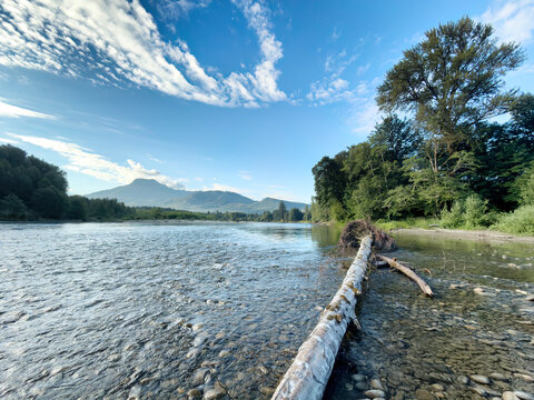 summer morning view of the Skagit river in the Cascade mountains of Washington state with a fallen tree in the shallow water