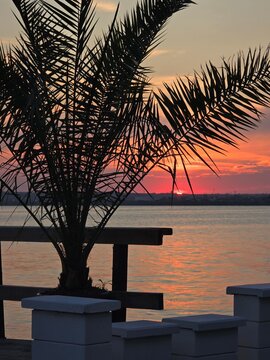 Silhouette of a palm tree against a vibrant sunset over Siutghiol Lake in Mamaia, Constanta
