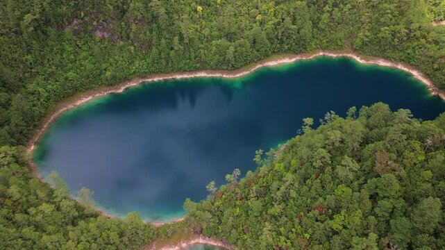 Static top-down aerial drone shot of a deep blue lake surrounded by dense pine forest at Montebello Lakes National Park, Chiapas, Mexico.