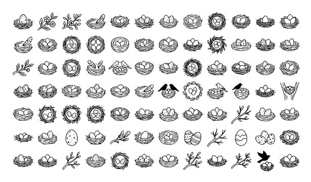 Bird Nest Doodle Icon Set Hand Drawn Line Art Egg Flower Leaf Spring Nature Vector Illustration Collection