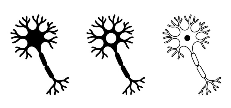 Neuron nerve cell vector set showing detailed neural structures and connections.