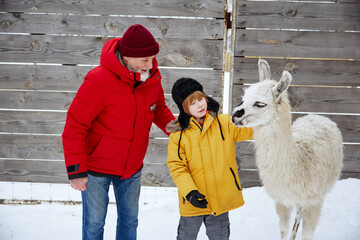 Grandfather and grandson petting llama during a winter outdoor adventure © Drobot Dean