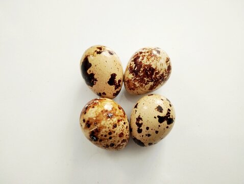 quail eggs on white background