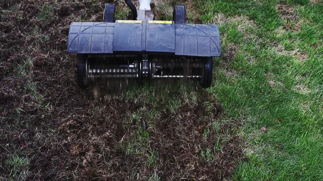 Gas powered dethatcher machine being used to clean up dead grass, moss, and other organic material from grass lawn, landscaping maintenance

