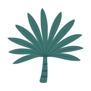 Cute Palm Tree Simple Clipart