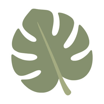 Cute Monstera Leaf Chunky Flat Clipart