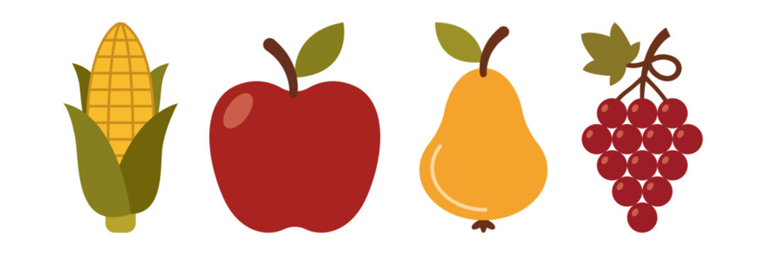 Set of fresh autumn harvest icons featuring corn apple pear and grapes.
