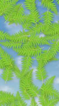 Vertical Animation of Green Fern Leaves Falling Against Blue Sky