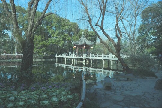 Chinese historic garden: Gu Yi Garden, Shanghai