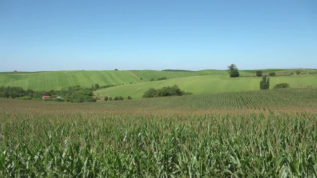 北海道・美瑛の美しい丘の風景_Beautiful Hillside Landscape in Biei, Hokkaido, Japan_1