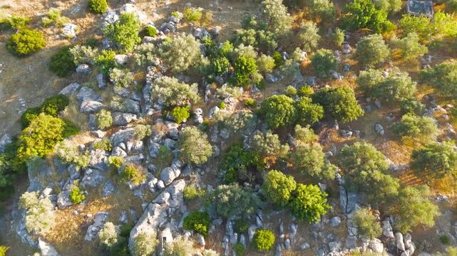 Gelemis, Turkey. The Roman Triumphal Arch of Patara, a well-preserved triple-vaulted stone gateway straddling a modern road amid ancient ruins, aerial view under warm daylight. Aerial View, MasterSho
