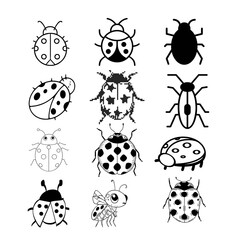 Fototapeta premium Set of twelve black and white ladybug icons in various artistic styles as a scalable vector graphic with a clean transparent background for versatile design projects.
