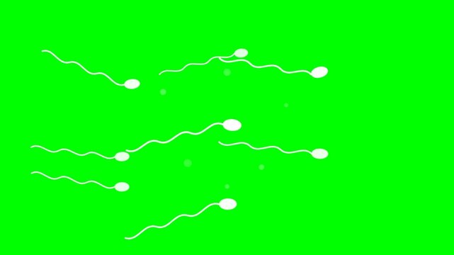 Sperm cells swimming on a vibrant green screen, representing fertility and reproduction.