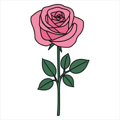 Fototapeta premium Cute Pink Rose Botanical Illustration for Creative Projects