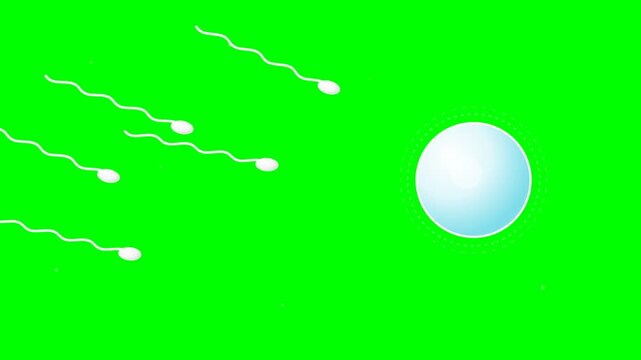 Sperm cells swimming towards an egg cell on a green background.