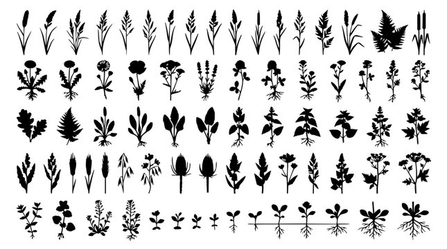 Plant and grass set with flat design botanical elements featuring leaves, stems, and roots with green color palette and vector style