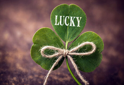 Four leaf clover tied with twine displaying lucky text as a symbol of fortune and prosperity