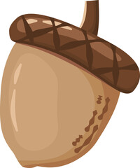 Vector Illustration of acorn clipart © kasikastudio