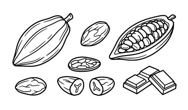Cocoa and chocolate vector collection with cocoa beans pods and chocolate pieces