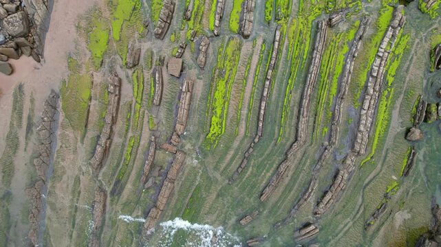 Aerial view of flysch rock formations with green moss and layered stone strata along the shoreline in Donostia, Basque Country, Spain.