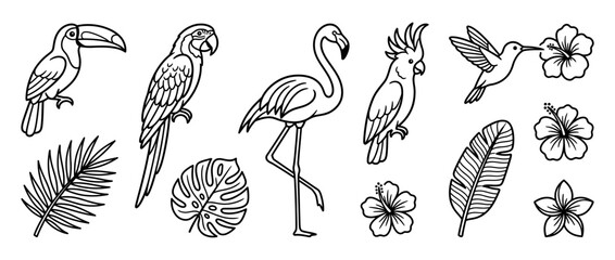 Obraz premium Tropical Birds and Flowers Line Art Collection