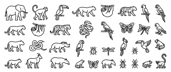 Obraz premium Jungle Animals and Insects Line Art Collection