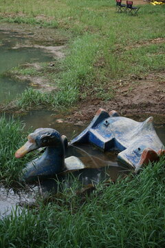 Old broken duck paddle boat abandoned in a muddy pond
