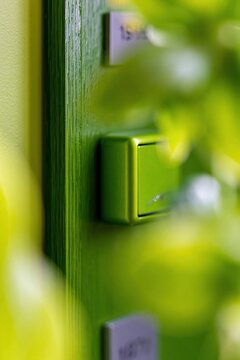 Green hotel room door with an electronic key card reader, showing polished wood grain and a sleek finish for hospitality and accommodation concepts