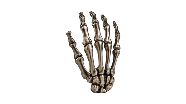 Highly realistic skeleton hand with intricate bone details and eerie Halloween style, isolated PNG on transparent background
