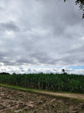 Clouds on the beautiful landscape, property advertisement background, background for travels and tours