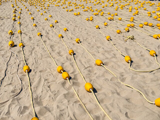 Rows of yellow safety buoys and ropes laid out on empty beach sand maintenance © Bankerok
