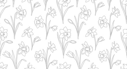 Fototapeta premium Isolated Daffodil Flower Pattern Outline