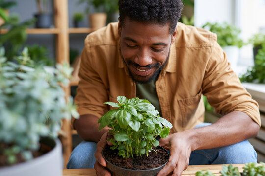 Man smiles while holding a potted basil plant. Soft natural light illuminates the scene. Wooden shelves hold more greenery behind him. He wears a casual, earthy-toned shirt