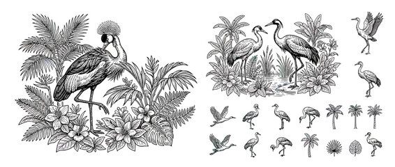 Naklejka premium Vintage Tropical Birds and Foliage Illustration Collection