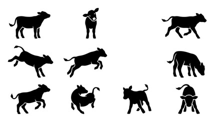 Obraz premium Dynamic cattle silhouette vector set, various cow and calf poses, farm animal collection for agricultural branding and livestock designs