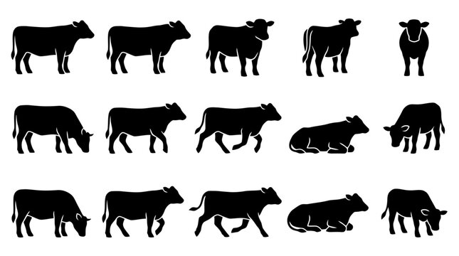 Cattle silhouette vector set, black cow icons, farm animal collection, livestock graphics for agriculture and dairy branding