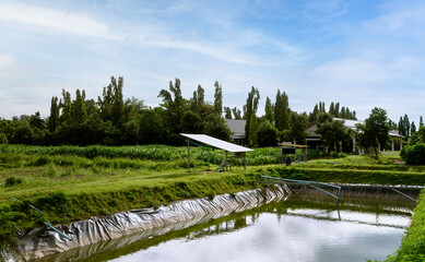 Solar photovoltaic water pumping system beside an agricultural reservoir and green farmland, illustrating renewable energy, irrigation, water management, and sustainable farming. © DEWINs