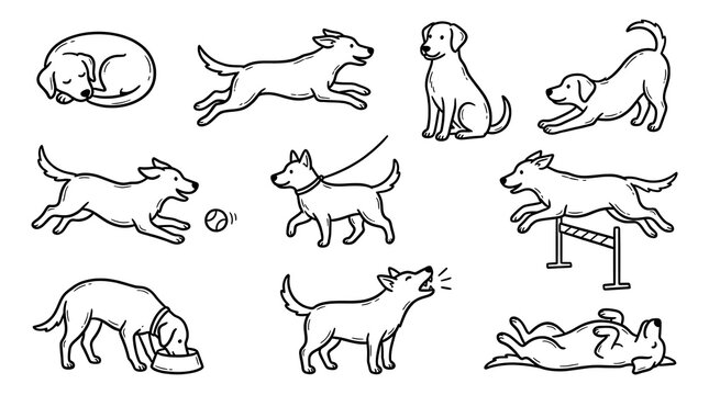 Set of cute hand drawn dog characters showing various daily activities with illustrations various poses