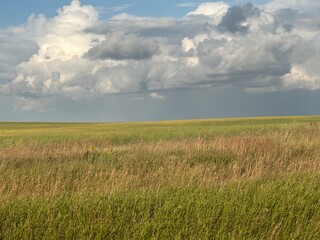 Obraz premium Expansive Open Farmland Field With Scenic Rural Landscape, Green Agricultural Land, Wide Prairie Views and Peaceful Countryside Scenery